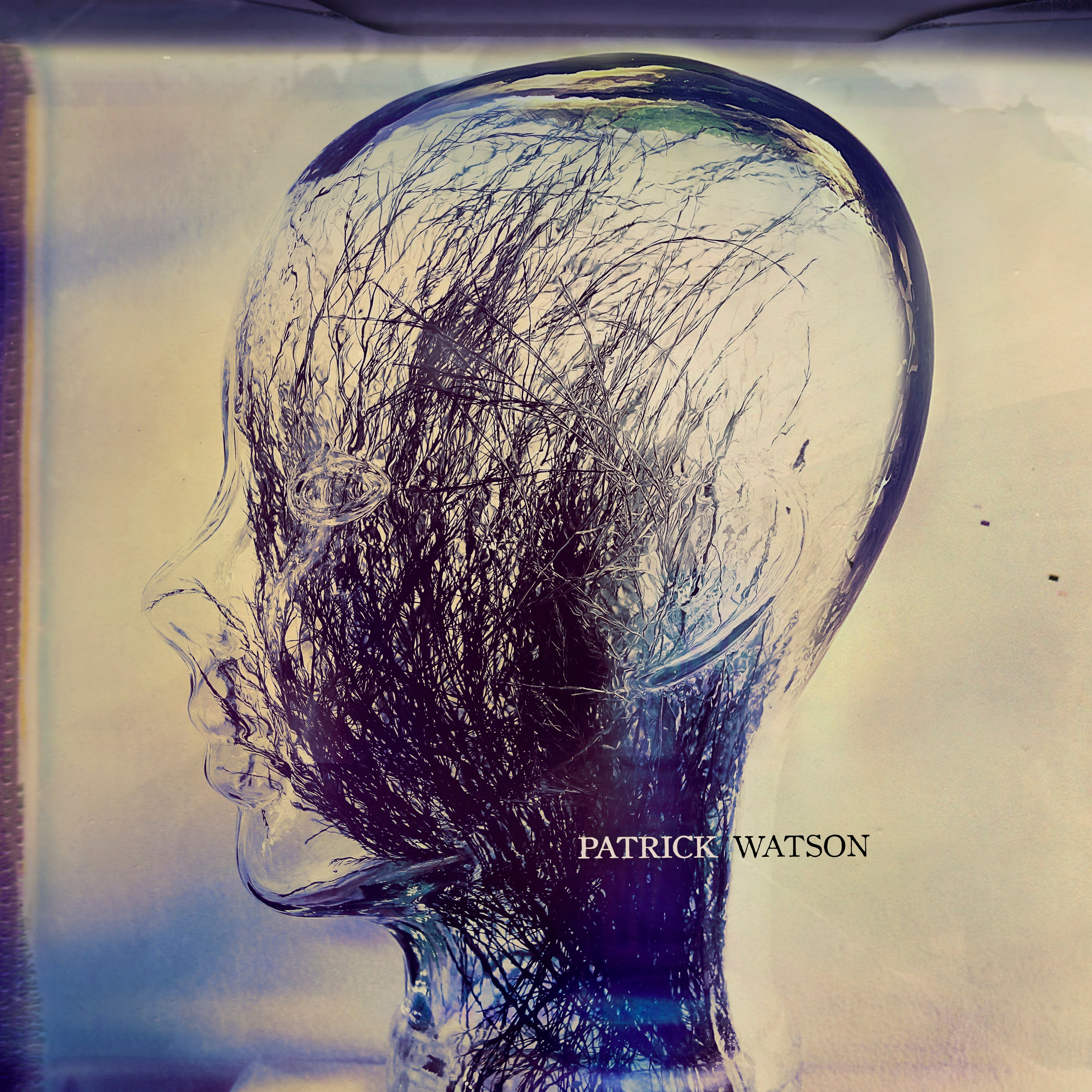Wave – Secret City Records