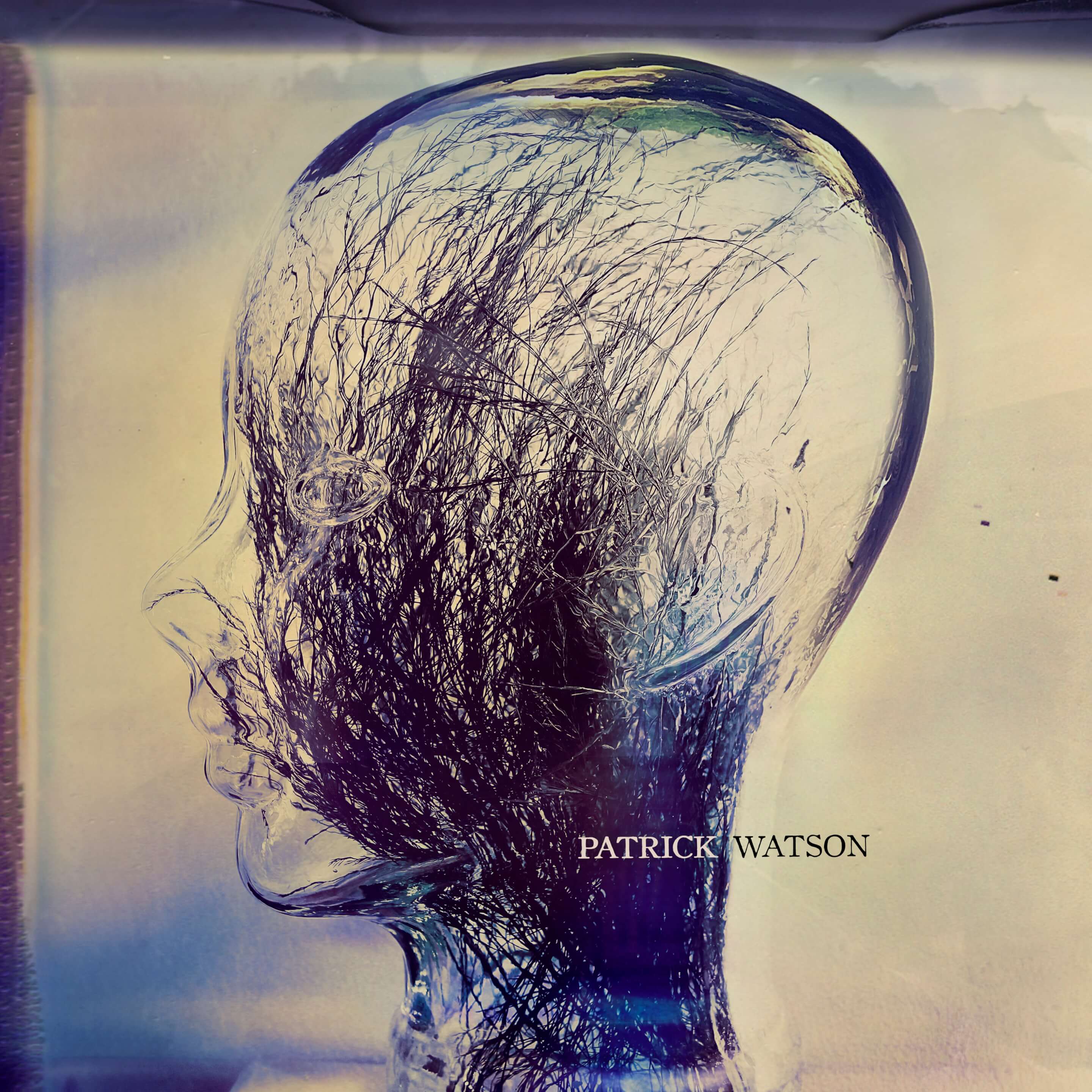 Patrick Watson  Wave