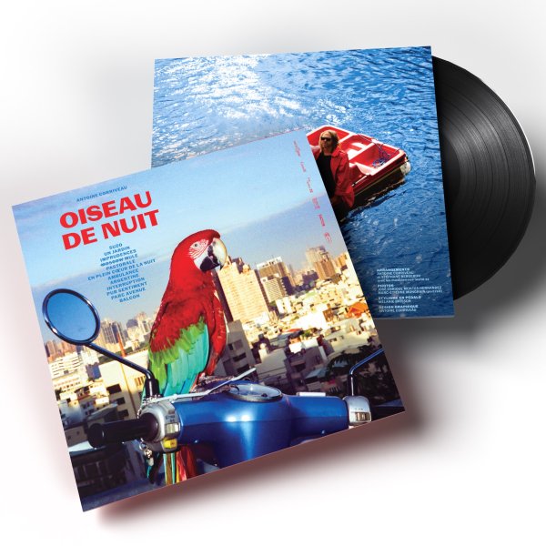 Oiseau de Nuit – Image 2